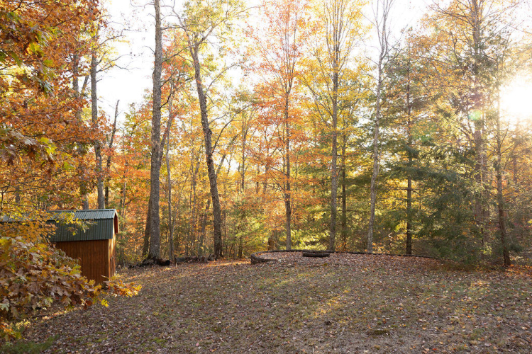 Listing Image 45