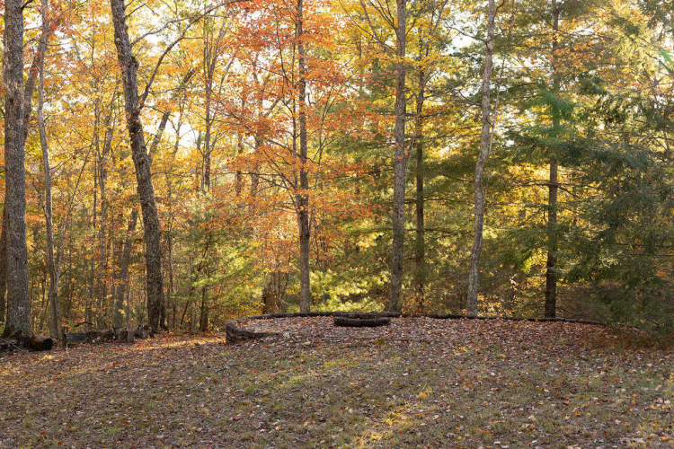Listing Image 46