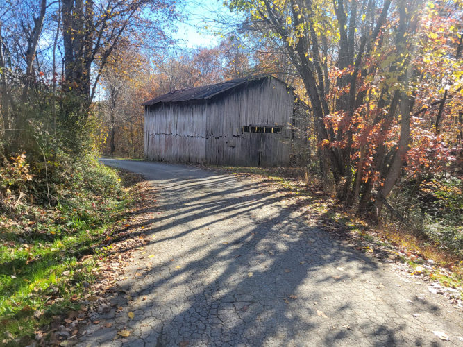 Listing Image 12