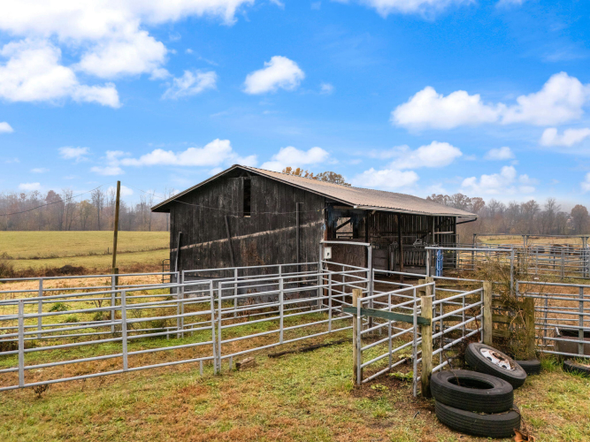Listing Image 29