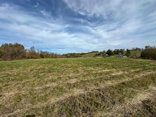 Listing Image 21