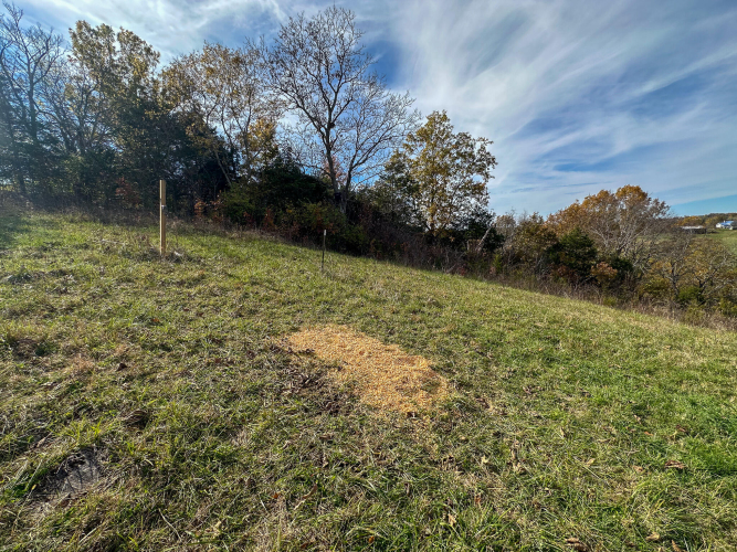 Listing Image 35