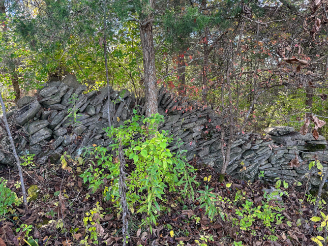 Listing Image 36