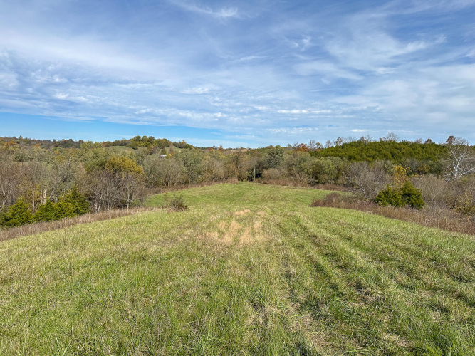 Listing Image 37