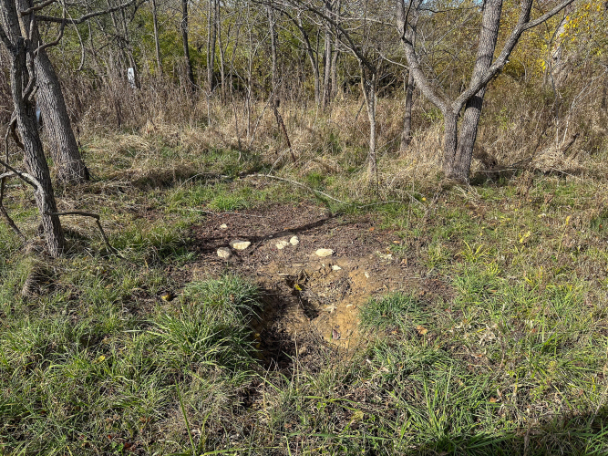 Listing Image 38