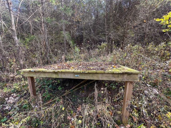 Listing Image 40