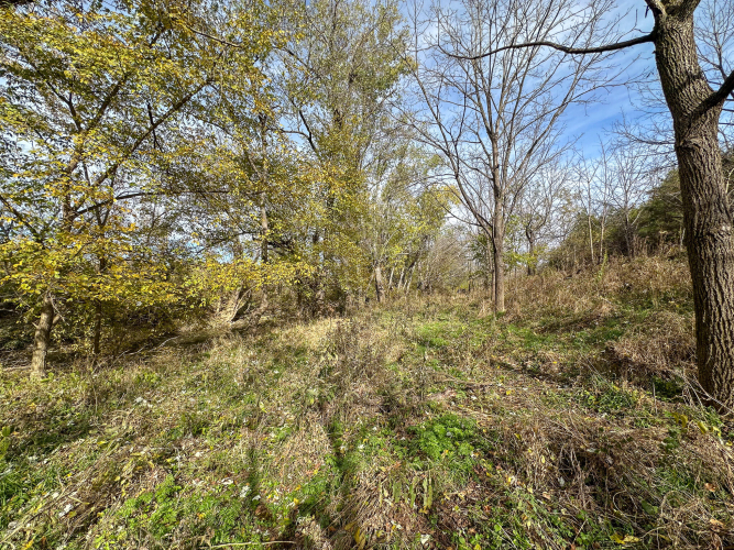 Listing Image 41