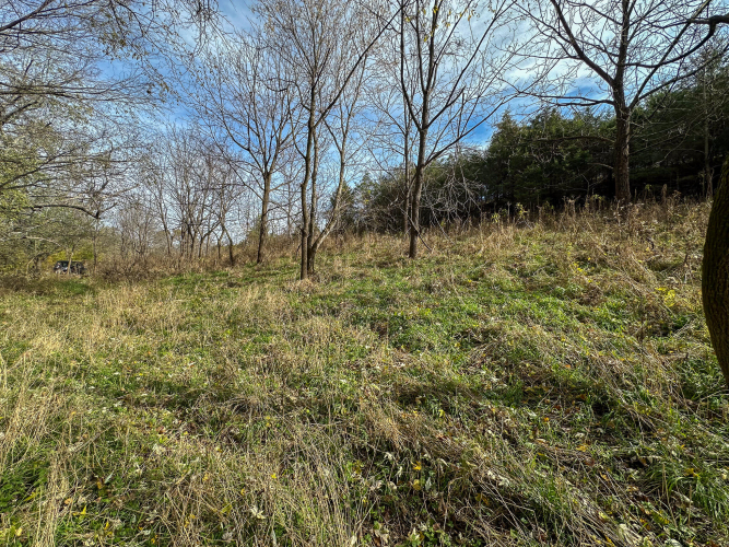 Listing Image 42