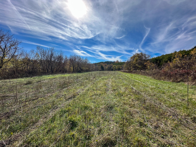 Listing Image 43