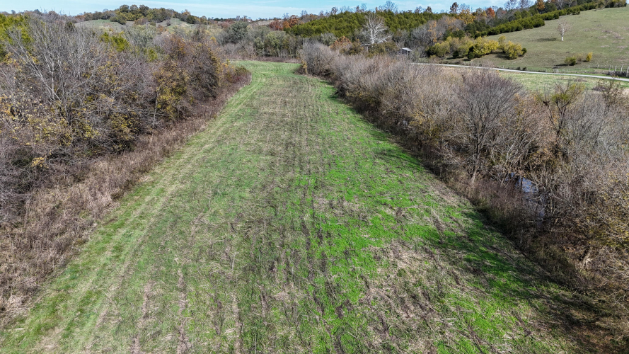 Listing Image 8