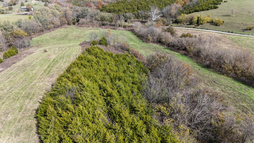 Listing Image 9