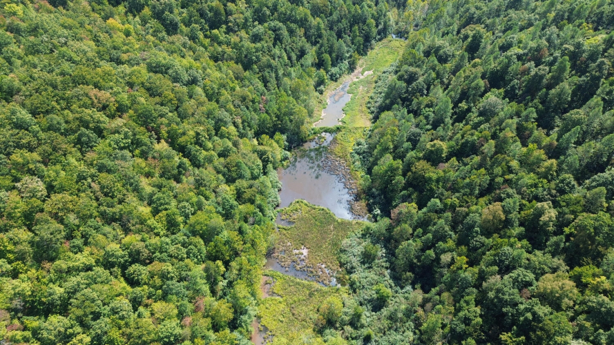 Listing Image 101