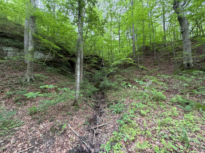 Listing Image 13