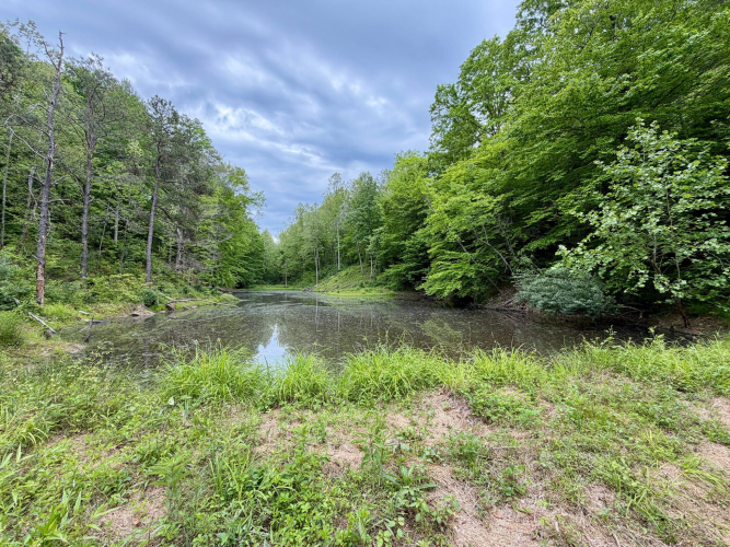Listing Image 15