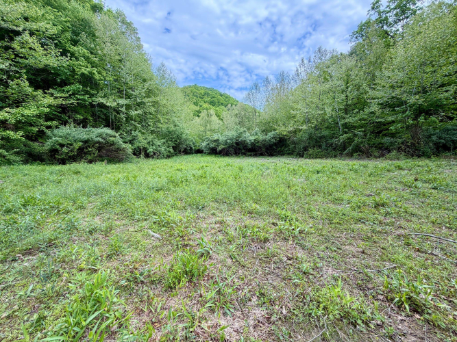 Listing Image 16