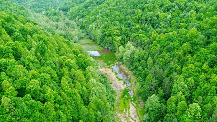 Listing Image 21