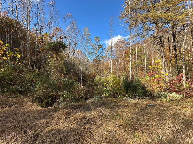 Listing Image 50