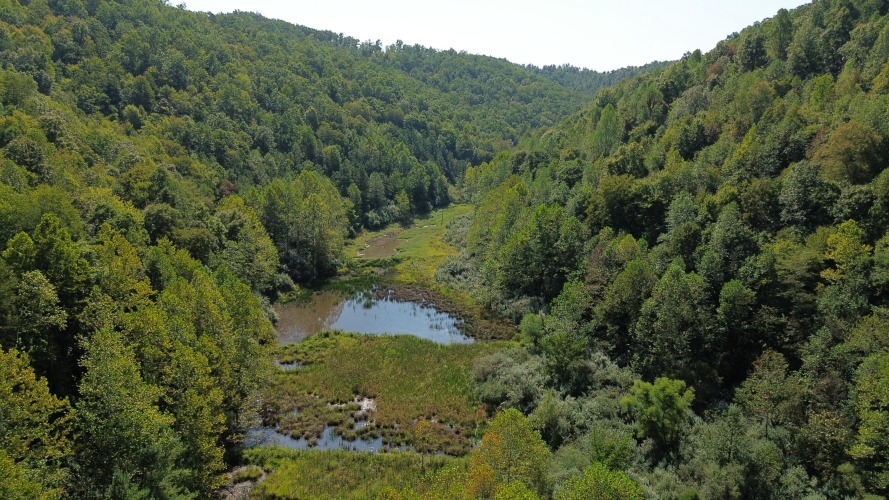 Listing Image 73