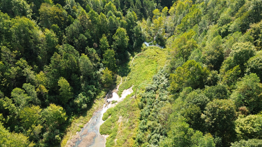 Listing Image 74