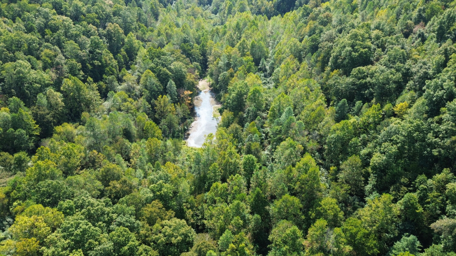 Listing Image 78