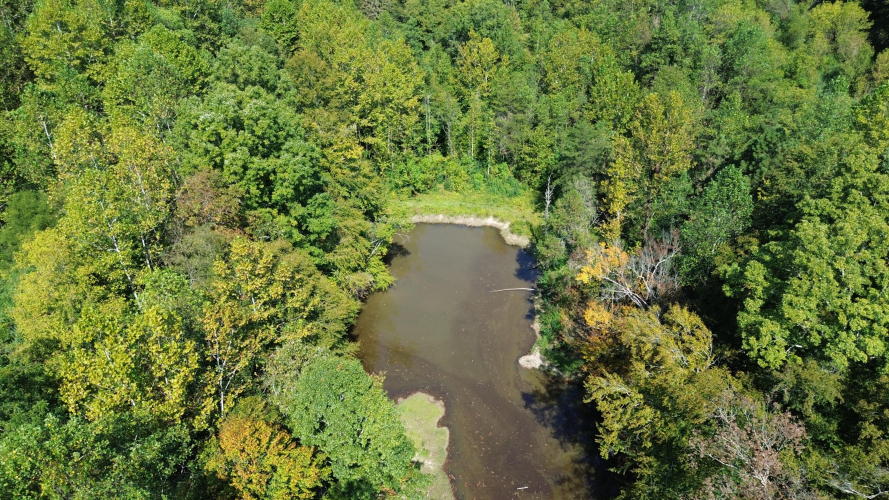 Listing Image 80