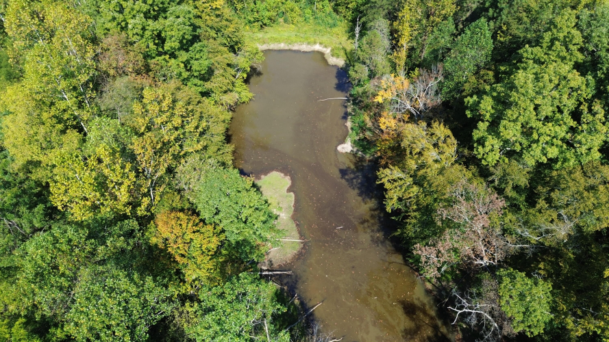 Listing Image 81