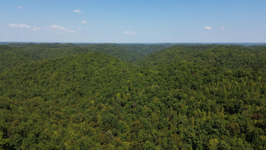 Listing Image 84