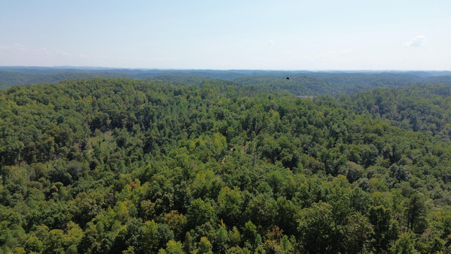 Listing Image 85