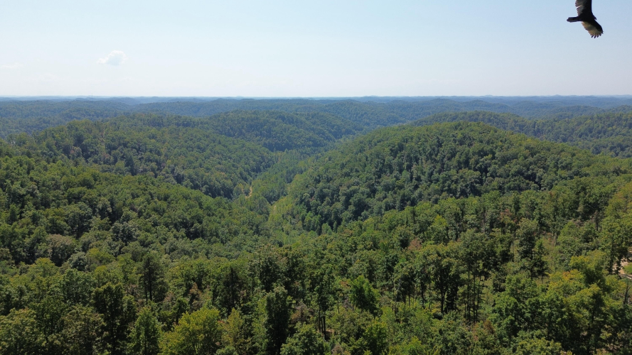 Listing Image 86