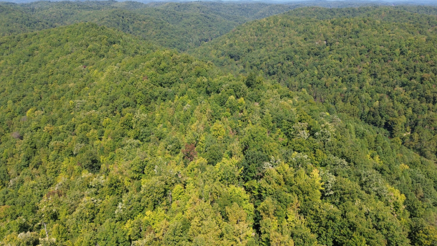 Listing Image 88
