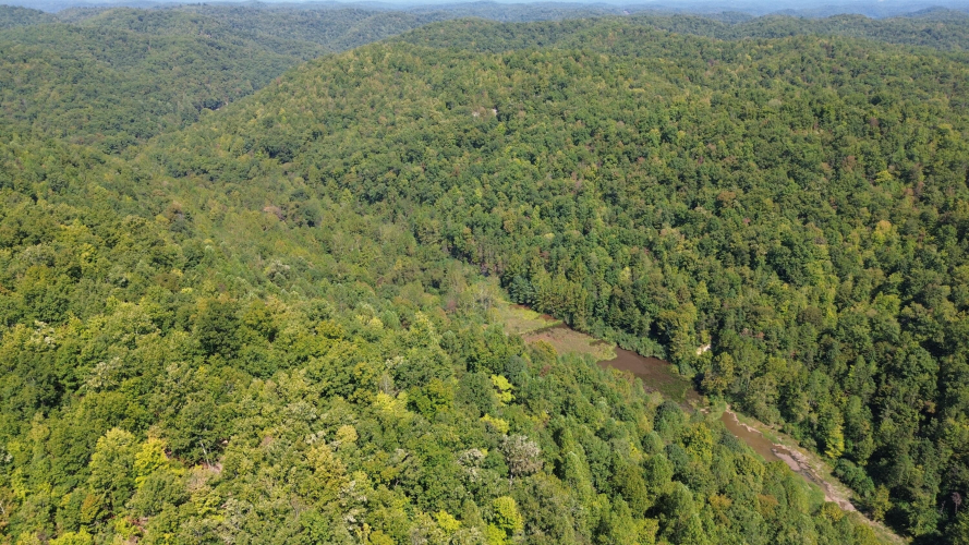 Listing Image 89