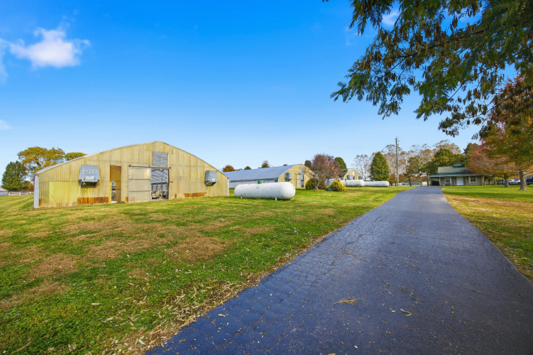 Listing Image 18