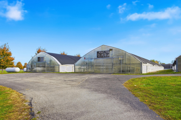 Listing Image 10