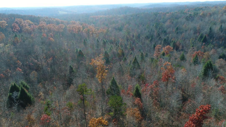 Listing Image 9