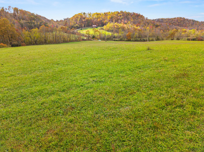 Listing Image 69
