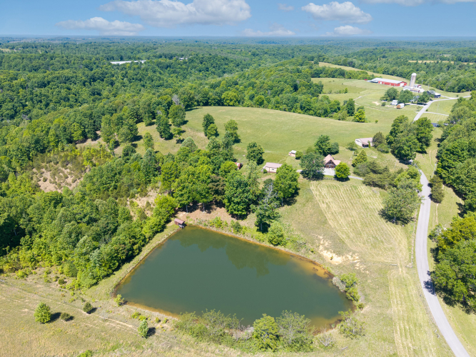 Listing Image 29