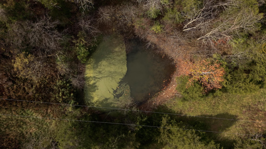 Listing Image 11