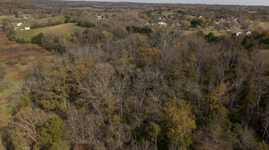 Listing Image 16