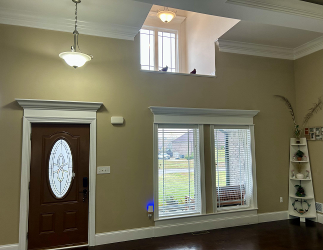 Listing Image 7