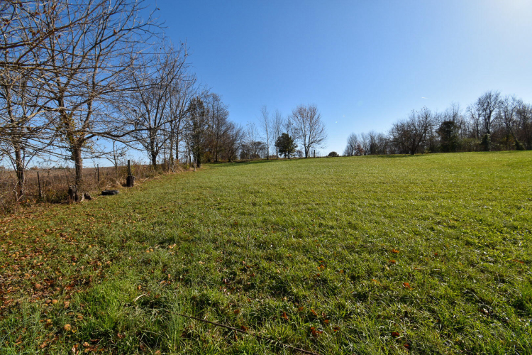 Listing Image 32