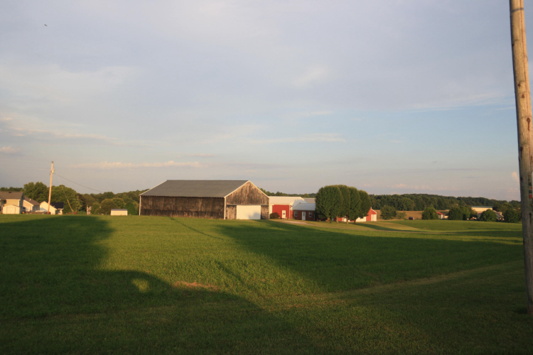 Listing Image 8