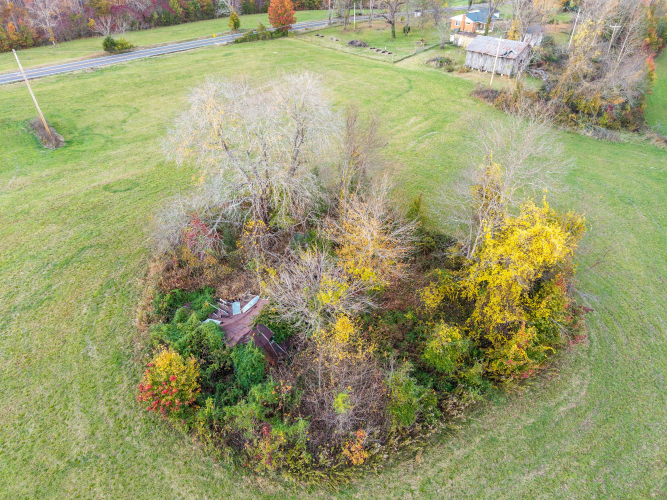 Listing Image 14