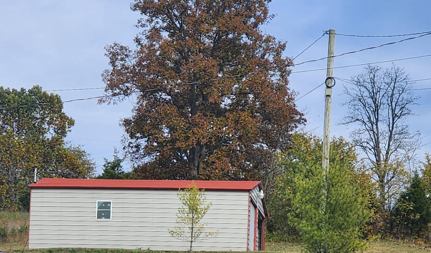 Listing Image 13