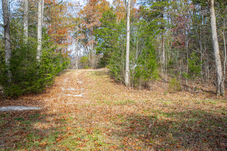 Listing Image 28
