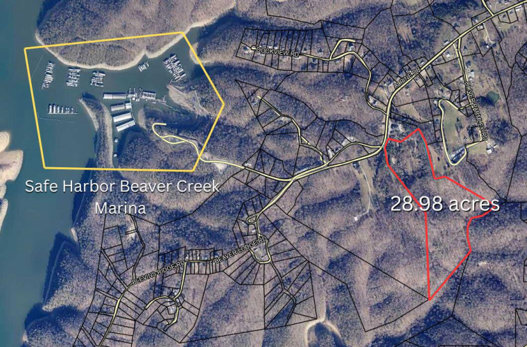 Listing Image 5