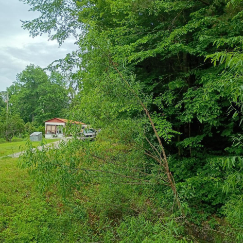 Listing Image 13