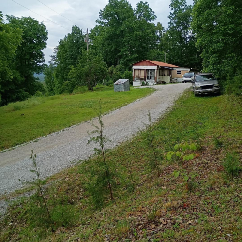 Listing Image 15