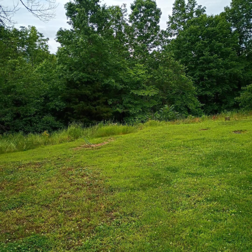 Listing Image 18