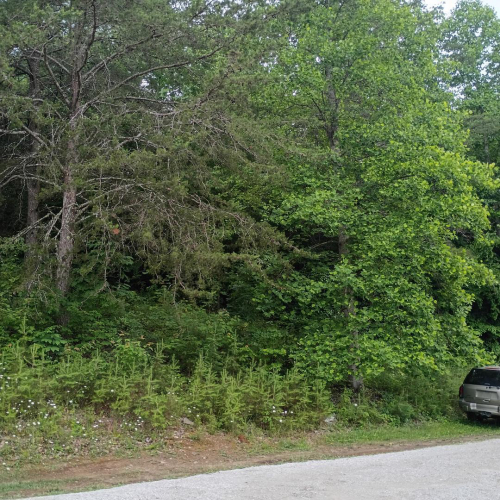 Listing Image 22