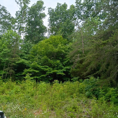 Listing Image 23